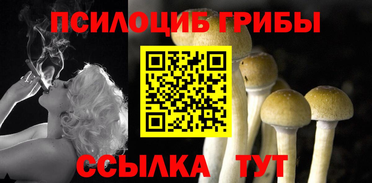 Галлюциногенные грибы GOLDEN TEACHER  Псилоцибиновые грибы Psilocybine cubensis  Кушва  Вход с VPN 